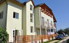 Villa Noyev Kovcheg